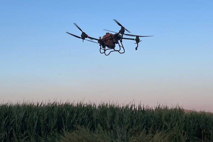 Drone spraying crops