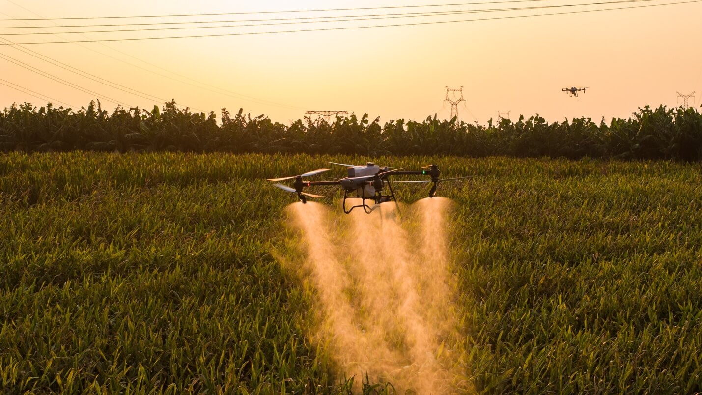 Drone spraying at sunset